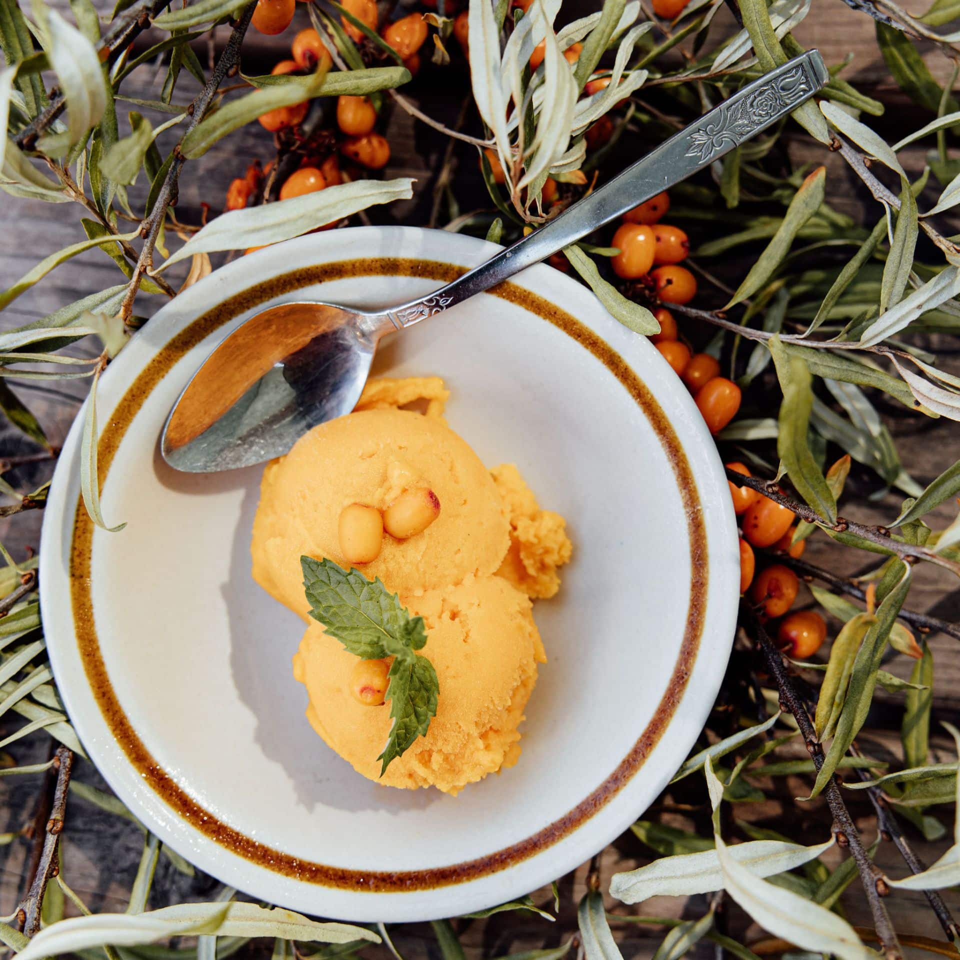 beauce-quoi-faire-verger-argousiere-2