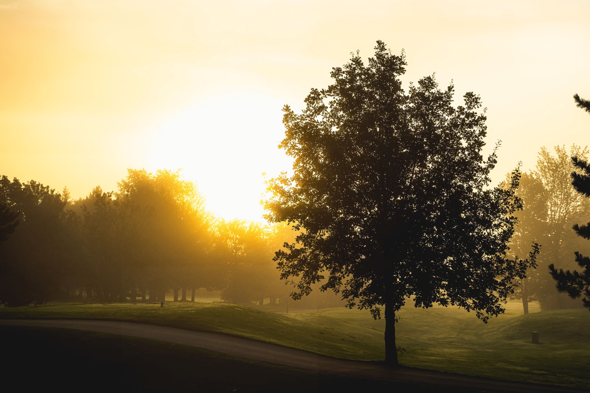 hebergement-beauce-cache-du-golf-beauceville (2)