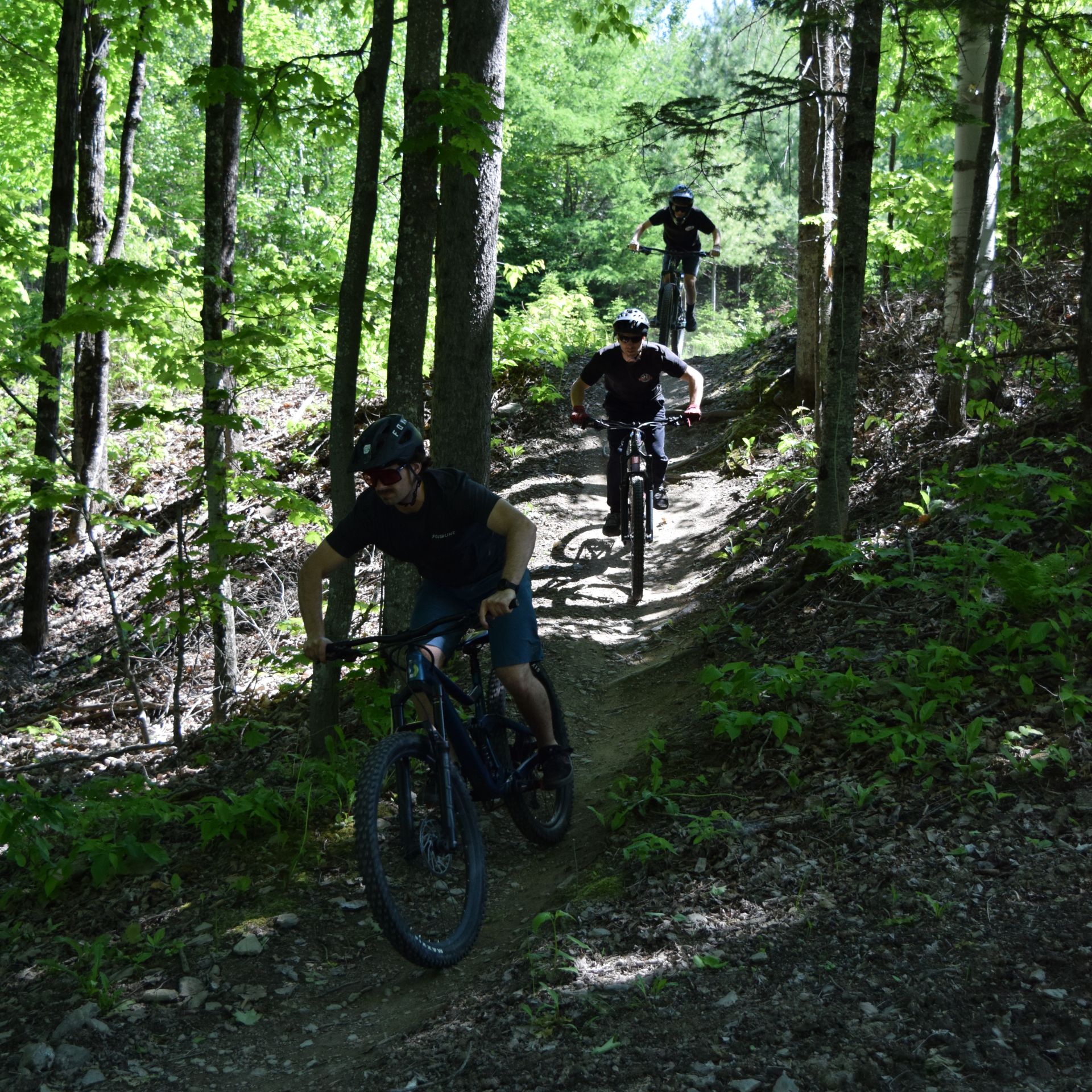 quoi-faire-beauce-velo-location-flowline-5