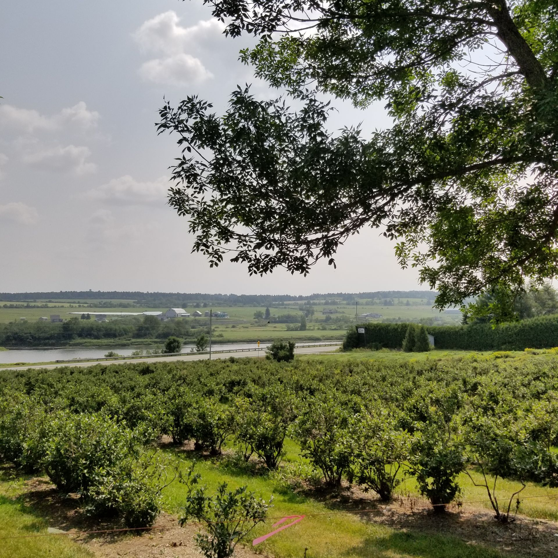 agrotourisme-beauce-ferme-g-pomerleau (4)