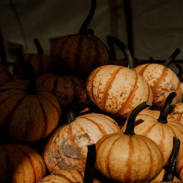 evenement-beauce-halloween