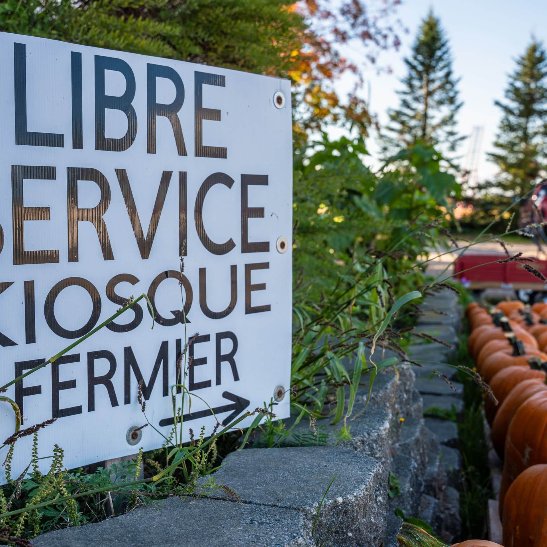 quoi-faire-beauce-ferme-roberge-innov (2)