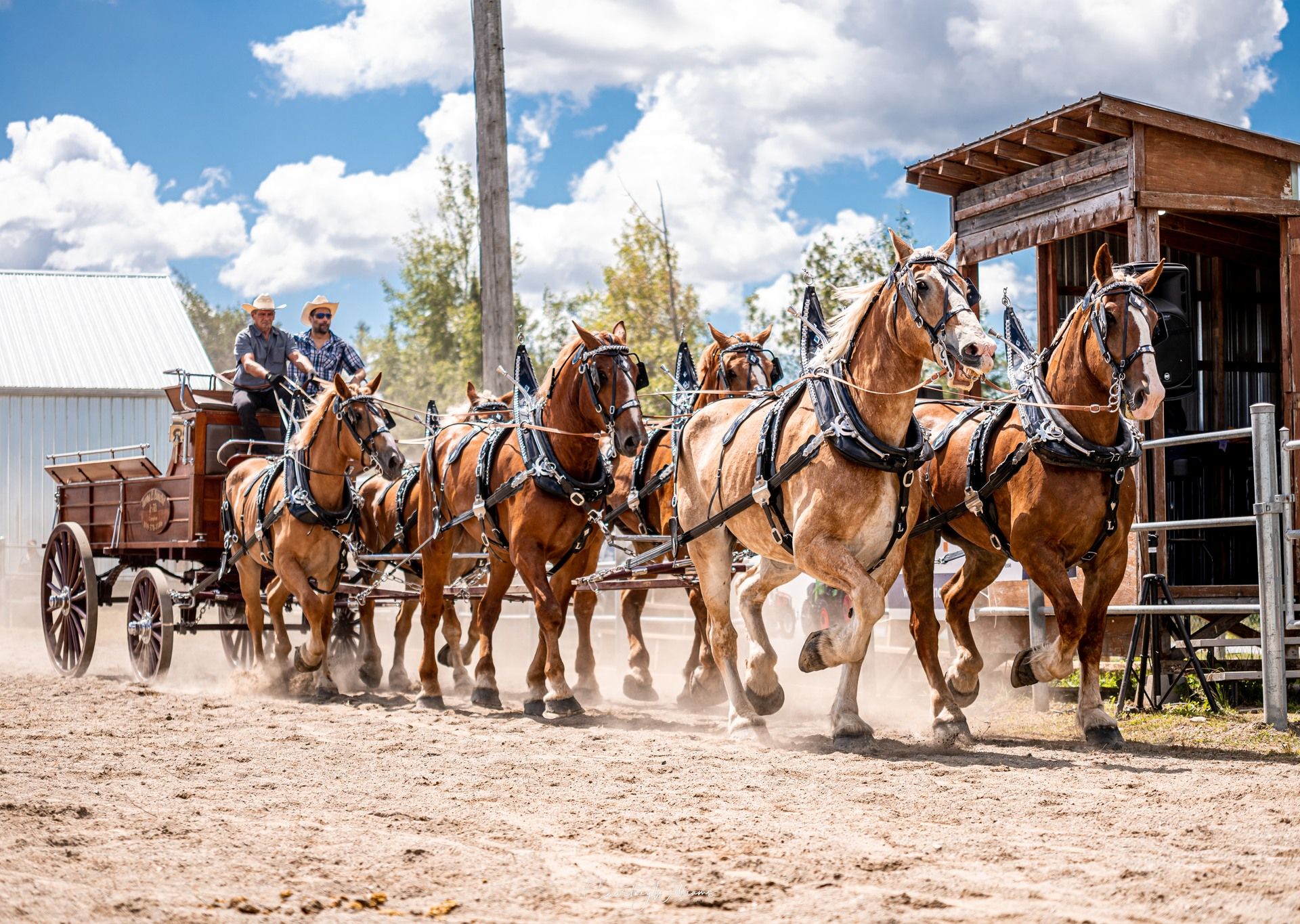 L’Expo agricole de Beauce : une tradition qui traverse les générations!